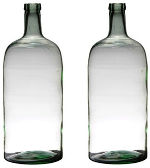 Bellatio Design Vaas - 2x - fles vorm - glas - transparant - D19 x H50 cm - Bloemen/takken/stelen va