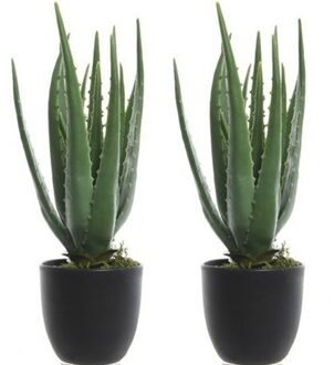 Bellatio Flowers & Plants 2x Groene aloe vera kunstplanten 35 cm in zwarte pot - Kunstplanten