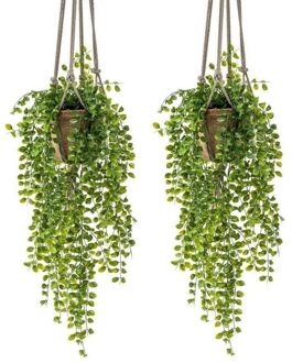 Bellatio Flowers & Plants 2x Groene hangende kunstplant ficus plant in pot - Kunstplanten