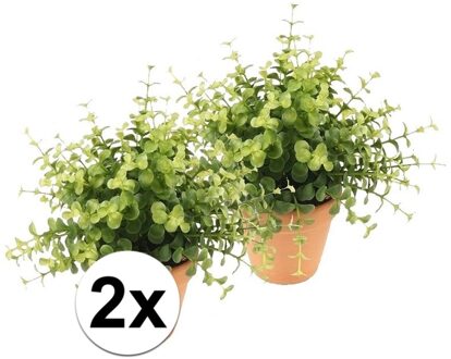 Bellatio Flowers & Plants 2x Groene kunstplant eucalyptus plant in pot - Kunstplanten