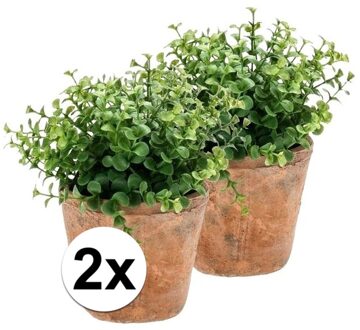 Bellatio Flowers & Plants 2x Groene kunstplant eucalyptus plant in pot - Kunstplanten