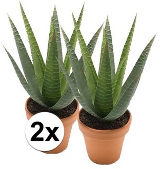 Bellatio Flowers & Plants 2x Kunstplant aloe vera groen in terracotta pot 23 cm