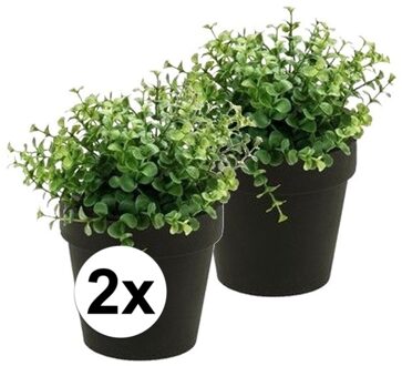 Bellatio Flowers & Plants 2x Kunstplant eucalyptus groen in zwarte pot 20 cm - Kunstplanten