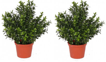 Bellatio Flowers & Plants 2x Kunstplanten buxus in pot 31 cm - Kunstplanten Groen