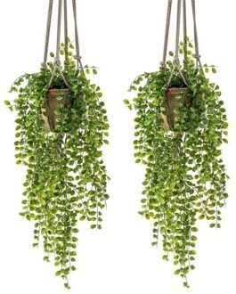 Bellatio Flowers & Plants 2x Kunstplanten hangplant Ficus in pot met touwen 16 cm