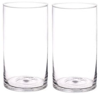 Bellatio Flowers & Plants 2x - vaas - glas - 30cm - rechte cilinder