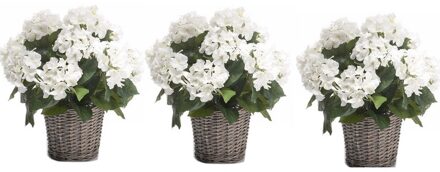 Bellatio Flowers & Plants 3x Kunstplanten witte Hortensia in mand 45 cm