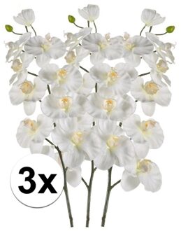 Bellatio Flowers & Plants 3x Phalaenopsis kunst tak 100 cm wit - Kunstbloemen