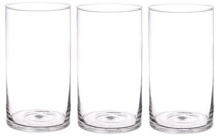 Bellatio Flowers & Plants 3x - vaas - glas - 30cm - rechte cilinder