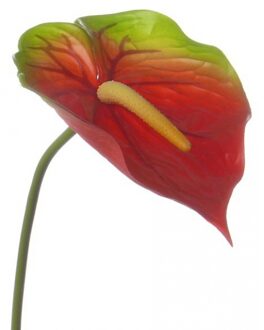 Bellatio Flowers & Plants 5x Kunstplant rood met groene anthurium 78 cm - Kunstplanten/nepplanten