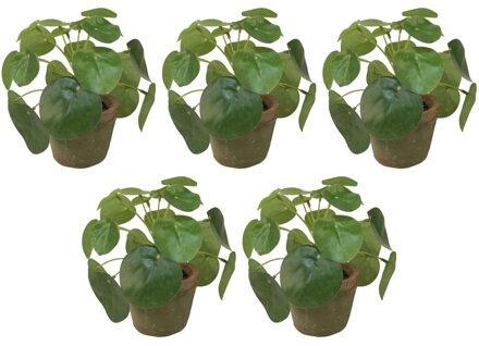 Bellatio Flowers & Plants 5x Kunstplanten pannenkoeken planten groen in pot 13 cm - Kamerplant/kantoorplant groen pilea