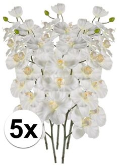 Bellatio Flowers & Plants 5x Phalaenopsis kunst tak 100 cm wit - Kunstbloemen