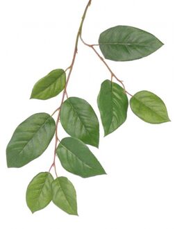 Bellatio Flowers & Plants Appelboom groene takken - kunstplant - 77 cm - maak boeket met bloemen - bladgroen