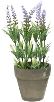 Bellatio Flowers & Plants Bellatio Lavendel kunstplant - lila - 25 cm - in betonlook potje