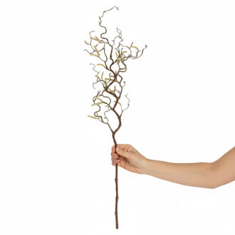 Bellatio Flowers & Plants Bellatio Paastak - klein - kronkelhazelaar - kunststof - 66 cm - paasdecoratie