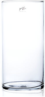 Bellatio Flowers & Plants Bloemen vaas - cilinder - helder glas - 15 x 30 cm
