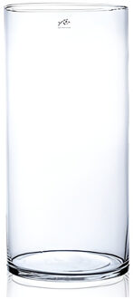 Bellatio Flowers & Plants Bloemenvaas cilinder - glas - helder - 19 x 37,3 cm - transparant