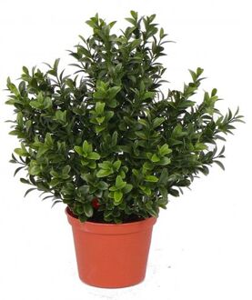 Bellatio Flowers & Plants Buxus kunstplanten in pot 31 cm - Kunstplanten Groen