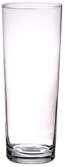 Bellatio Flowers & Plants Cilinder Bloemenvaas - transparant - glas - D8 x H24 cm