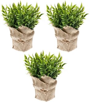 Bellatio Flowers & Plants Emerald Kunstplant - 3x - Muizendoorn Kruidenplant - Groen - In Jute Pot - 20 cm
