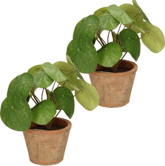 Bellatio Flowers & Plants Emerald Kunstplant pilea/pannekoekplant - 2x stuks - groen - in pot - 25 cm - kamerplant