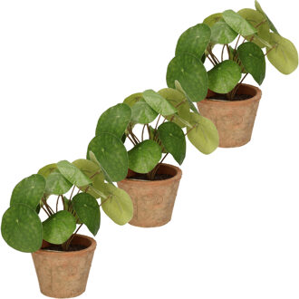Bellatio Flowers & Plants Emerald Kunstplant pilea/pannekoekplant - 3x stuks - groen - in pot - 25 cm - kamerplant