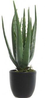 Bellatio Flowers & Plants Groene aloe vera kunstplant 35 cm in zwarte pot - Kunstplanten