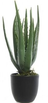 Bellatio Flowers & Plants Groene aloe vera kunstplant 35 cm in zwarte pot - Kunstplanten