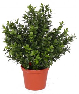 Bellatio Flowers & Plants Groene Buxus kunstplanten in pot - 31 cm - Kantoor/huiskamer - nep/namaak planten - Kunstplanten