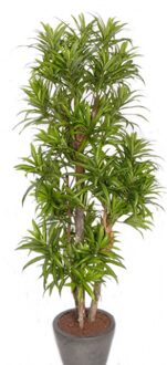 Bellatio Flowers & Plants Groene dracaena reflexa binnenplant, kunstplanten 120 cm voor binnen - Kunstplanten