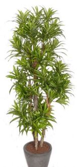 Bellatio Flowers & Plants Groene dracaena reflexa binnenplant, kunstplanten 120 cm voor binnen - Kunstplanten