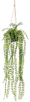 Bellatio Flowers & Plants Groene Ficus Pumila kunstplant 60 cm in hangende pot