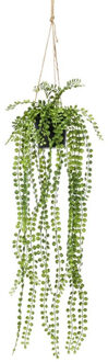 Bellatio Flowers & Plants Groene ficus pumila kunstplanten 60 cm met hangpot - Kunstplanten