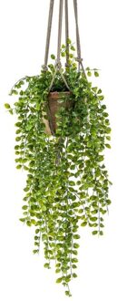 Bellatio Flowers & Plants Groene hangende kunstplant ficus plant in pot - Kunstplanten