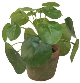 Bellatio Flowers & Plants Groene kunstplant pilea plant in pot 13 cm - Kunstplanten