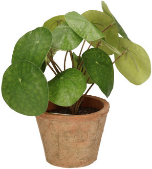 Bellatio Flowers & Plants Groene kunstplant pilea plant in pot 25 cm - Kunstplanten