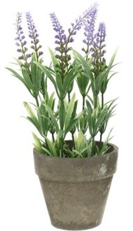 Bellatio Flowers & Plants Groene/lilapaarse Lavandula lavendel kunstplanten 25 cm met grijze beton pot - Kunstplanten