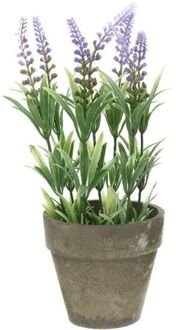 Bellatio Flowers & Plants Groene/lilapaarse Lavandula lavendel kunstplanten 25 cm met grijze beton pot - Kunstplanten