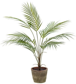 Bellatio Flowers & Plants Groene palmboom in pot 70 cm