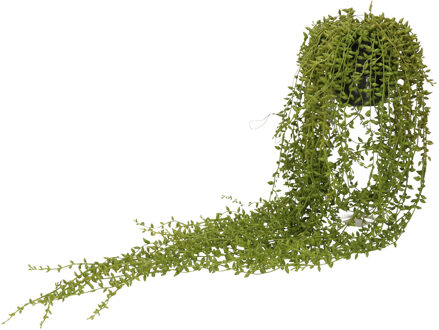 Bellatio Flowers & Plants Groene Senecio/erwtenplant kunstplant 70 cm in hangende pot