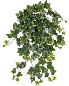 Bellatio Flowers & Plants Groene/witte Hedera Helix klimop weerbestendige kunstplanten 65 cm - Kunstplanten