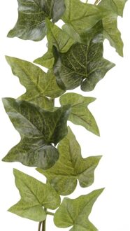 Bellatio Flowers & Plants Hedera Helix klimop groen 180 cm slingers