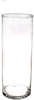 Bellatio Flowers & Plants Hoge glazen cilinder bloemenvaas - 40 x 15 cm - Transparant