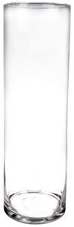 Bellatio Flowers & Plants Hoge glazen cilinder bloemenvaas - H50 x D15 cm - Transparant