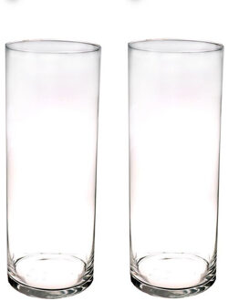 Bellatio flowers & plants Hoge glazen cilinder bloemenvaas - Set van 2x stuks - 40 x 15 cm - Transpa