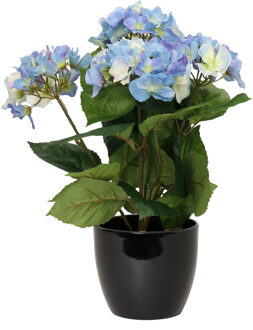 Bellatio Flowers & Plants Hortensia kunstplant met bloemen blauw - in pot zwart - 40 cm hoog - Kunstplanten