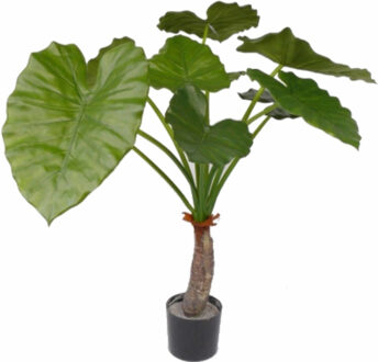 Bellatio Flowers & Plants Kamerplant alocasia 80 cm - Kunstplanten Groen