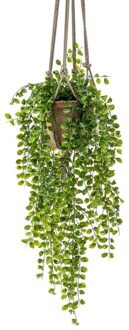 Bellatio Flowers & Plants Kunst hangplant Ficus in pot met touwen 16 cm