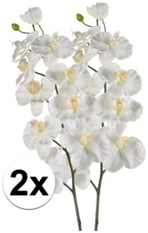 Bellatio Flowers & Plants Kunstbloem - 2x - Orchidee - op tak - 100 cm - wit - sier - decoratie bloemen