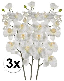 Bellatio Flowers & Plants Kunstbloem - 3x - Orchidee - op tak - 100 cm - wit - sier - decoratie bloemen